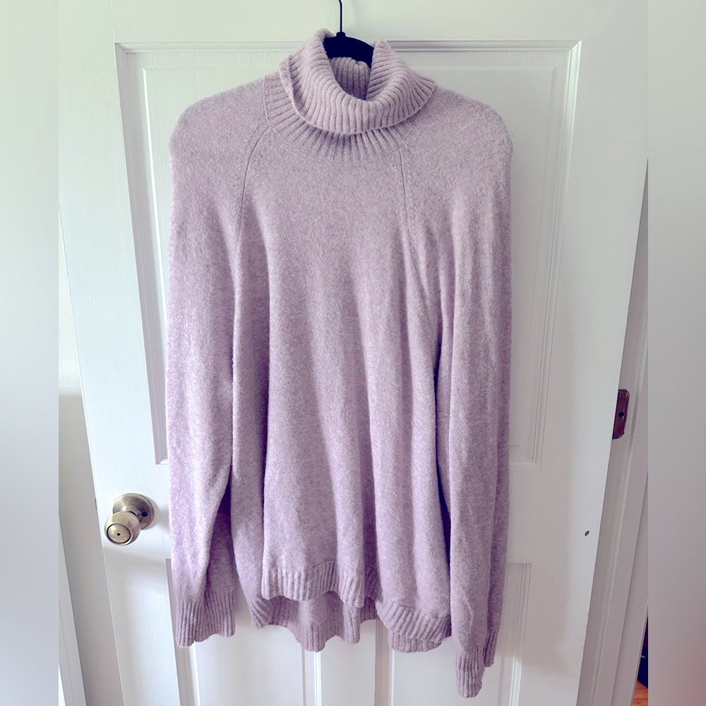 J Crew 2X turtleneck sweater